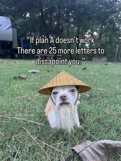 Quote of the Day 🤣