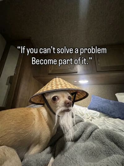 Quote of the Day