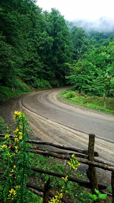 have a good day ❤️ 
Iran, mazandaran, ramsar, javaherdeh road