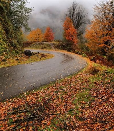 I need autumn In Iran 
good morning 🌞