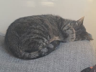 Don't Disturb:)