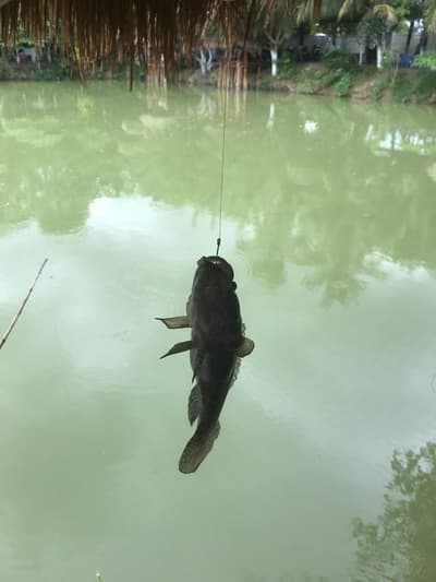 Fishing and enjoying the peace