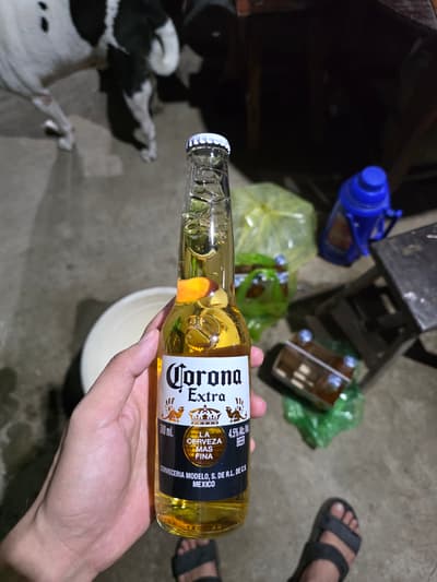 cheers