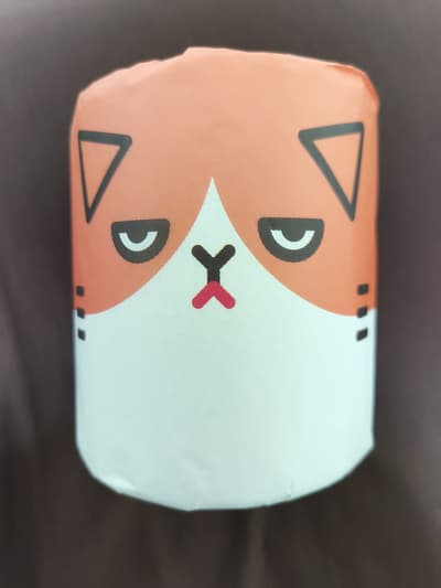 toilet paper