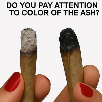 your choice is my choice