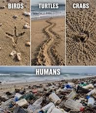 Wherever we go, we leave a footprint behind. Sadly, too often that footprint is made of plastic, bottles, cans, and other trash. Nature, cities, villages, forests, and beaches are not our dumping grounds. Let’s take our waste with us, protect the places we visit, and leave behind nothing but good memories. A clean world starts with our next step.