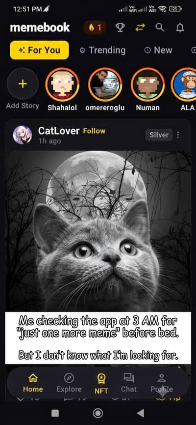 Moon, a cat, and endless scrolling at 3 AM. The holy trinity of insomnia!
#Memes #CatLover #Memebook

#Solanalover