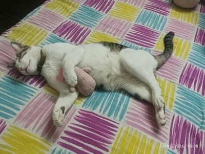 Zero stress, pure peace! Sleeping like nobody is watching.
#Solanalover