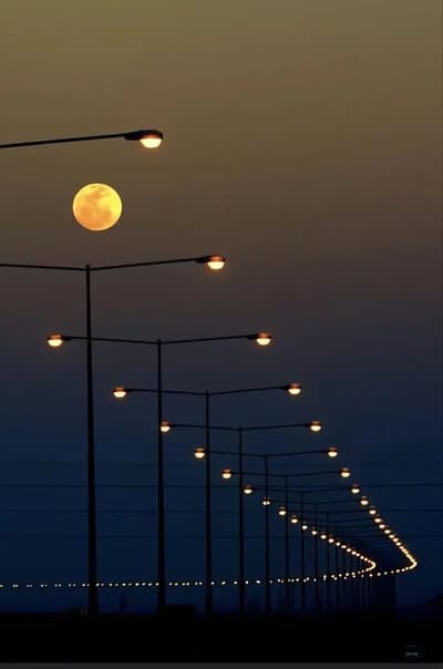 GN