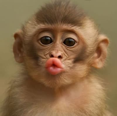 kiss me bae