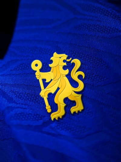 This is Chelsea. 🦁