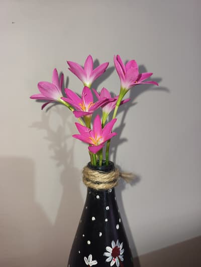 Today we got 6 rain lily.