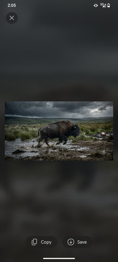 The Buffalo 🦬  faces the storm head on, So that it gets through it faster. while other animals run away. Which one is you!?