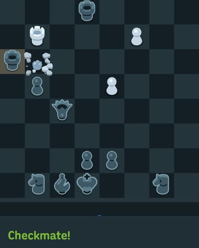 Checkmate