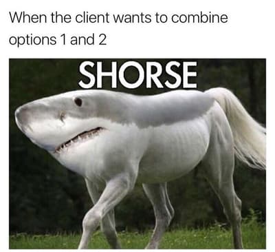 SHORSE 🪄