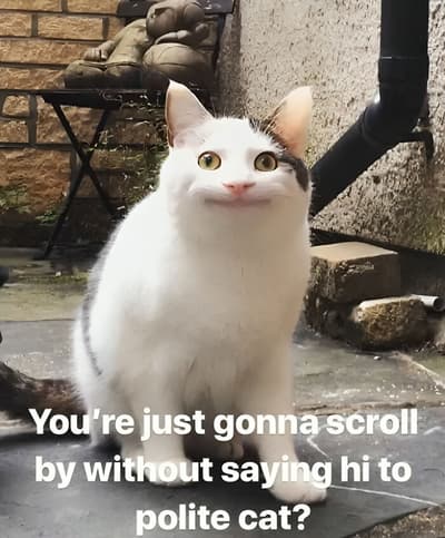 ?!