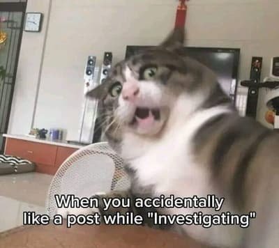 😭!