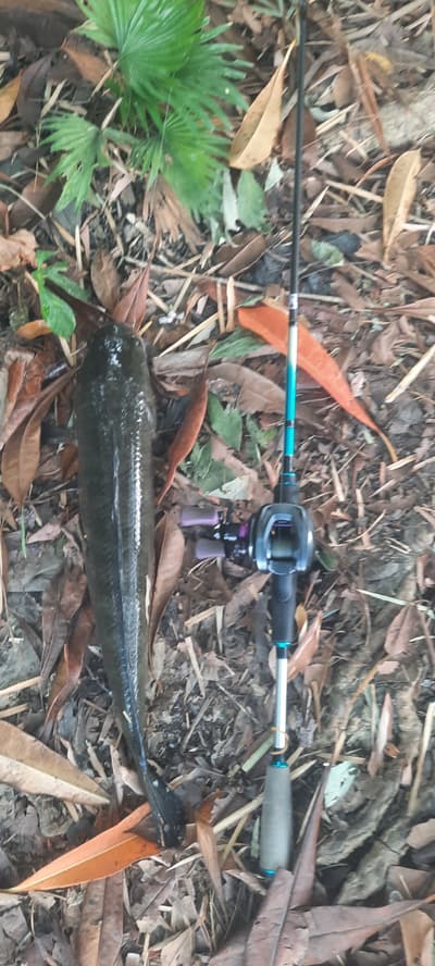 better go fishing :D