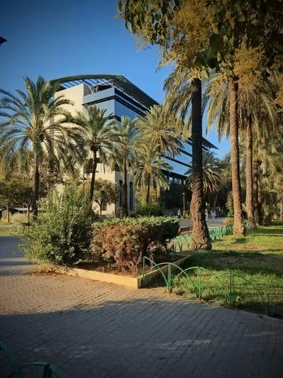 Pedestrian walkway