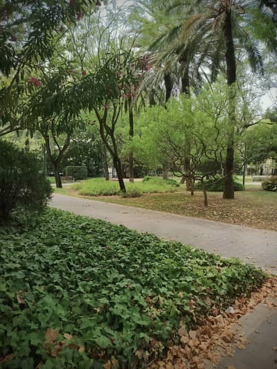 Park 🏞️