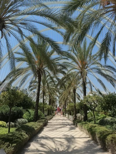 A Green Corridor into Tomorrow