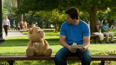 ted 🐻