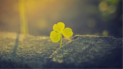 luck 🍀🤩🚀