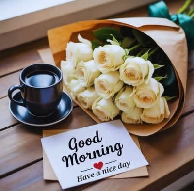 Morning all memebooker
