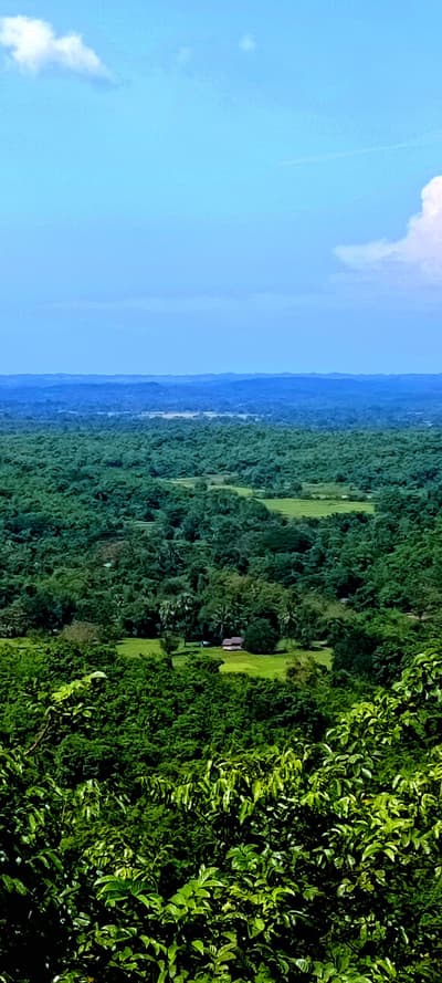 view