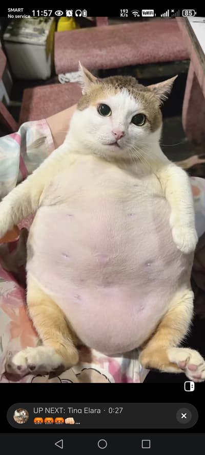 Someone bring me a snacks😼😼😼😼