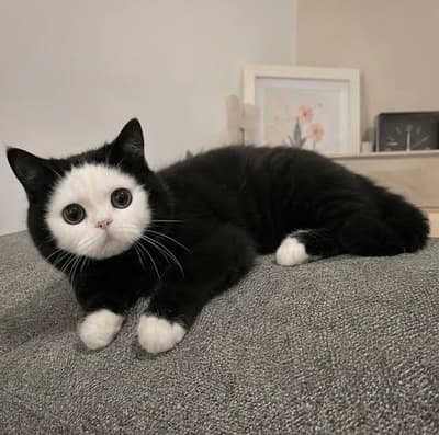 good morning frens😺😺