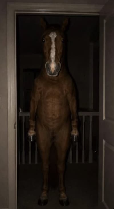 If this horse showed up outside your room at 3 AM, how would you react?