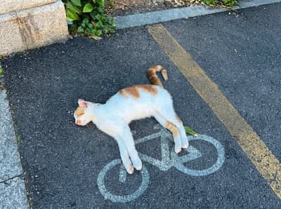 Post