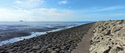 at the coast