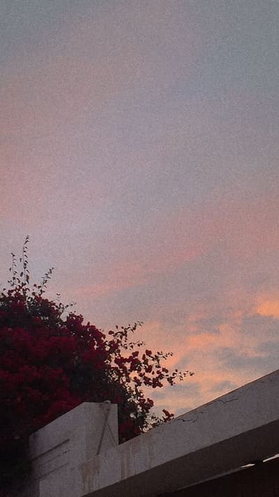 Just a simple photo today