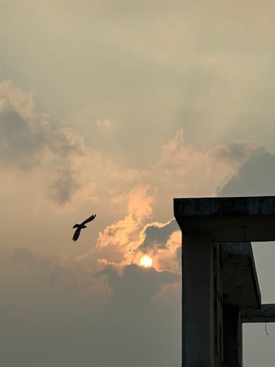 good morning