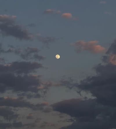 how does this one look