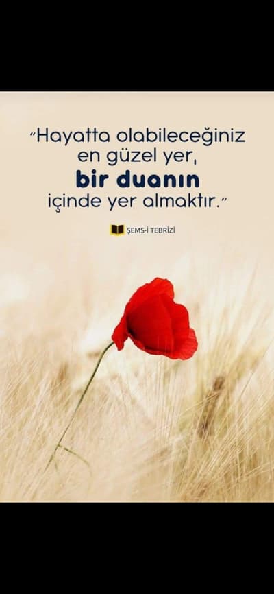 😎❤️ The most beautiful place you can be in life is inside a PRAYER  ❤️😎