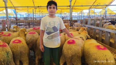 😎 the best shepherd of the future 😎
🤗🤗🤗