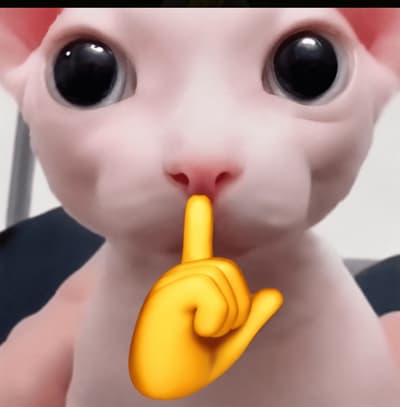 🤫🤫🤫