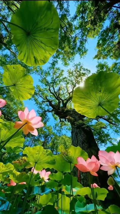 Something beautiful for your timeline today.