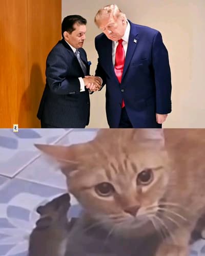 😂