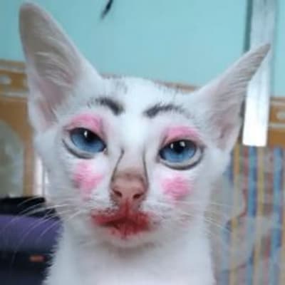 Hi