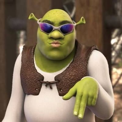 What's the difference between Shrek and crypto? Only one of them actually lives in a green swamp!