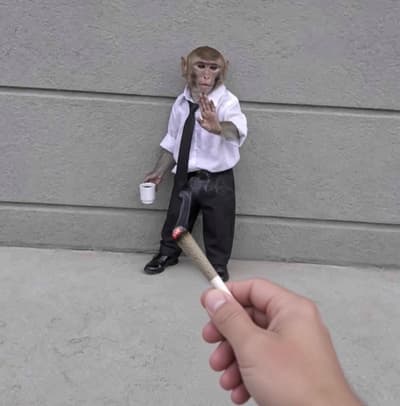 🐒