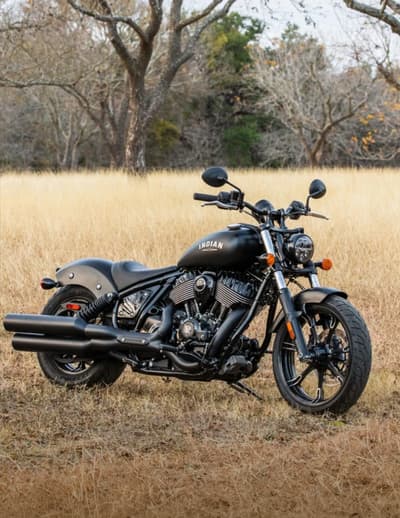 dark horse
