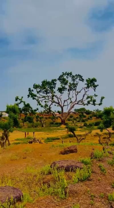 somewhere in Africa