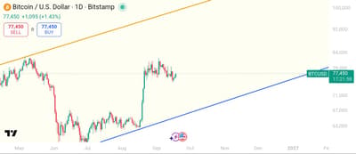 bulish or bearish?