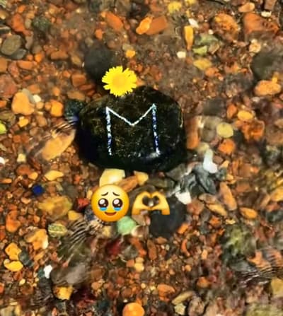 💕😘💕