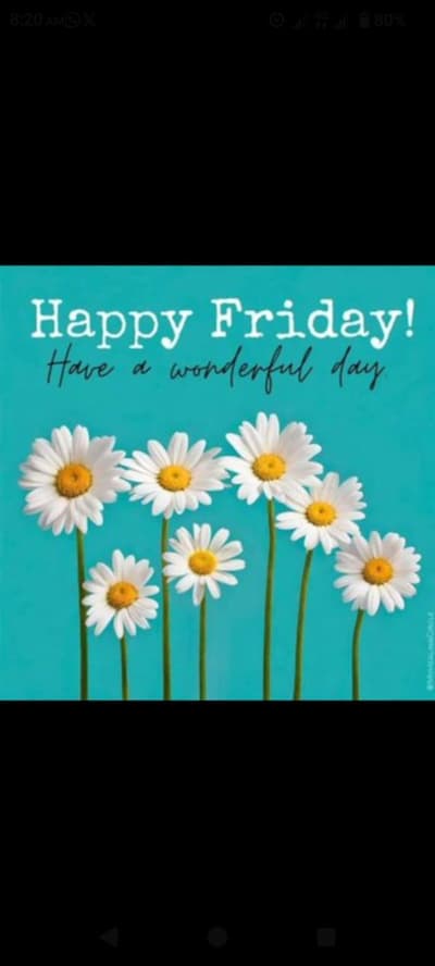 have a great weekend guys